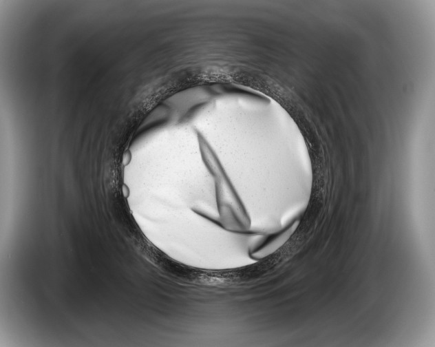 X0000086270706200704262016