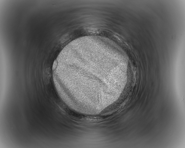 X0000086270707200704262016