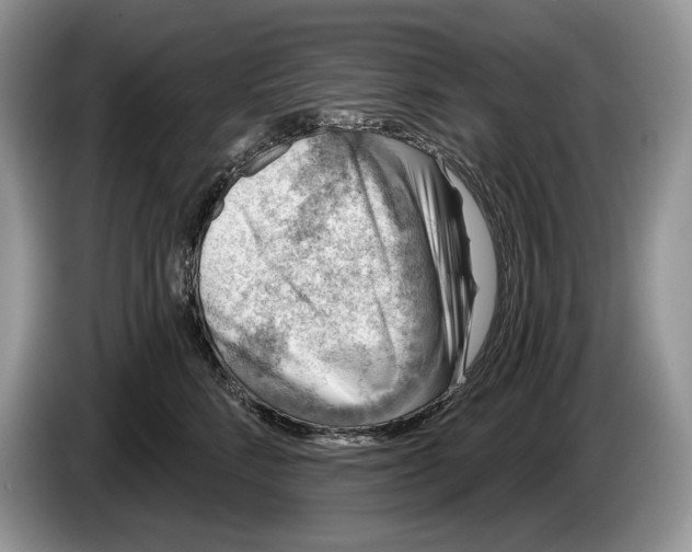 X0000086270712200704262016