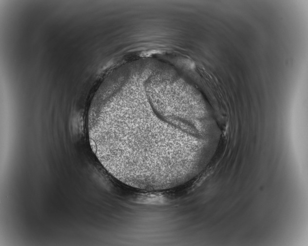 X0000086270715200704262016