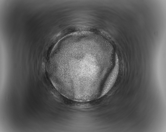 X0000086270716200704262016