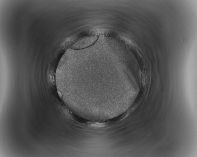 X0000086270718200704262016