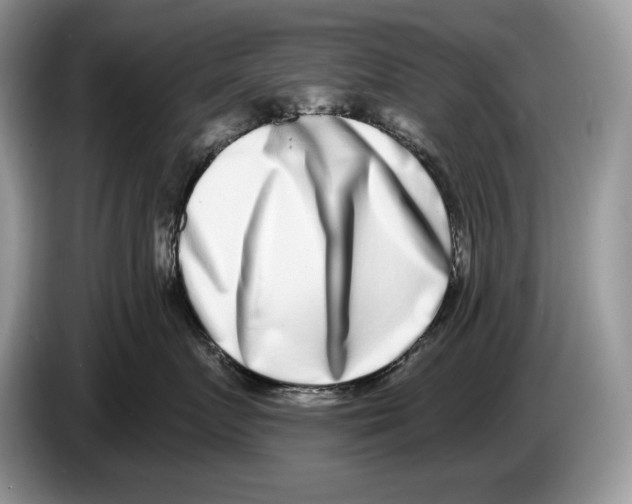 X0000086270719200704262016