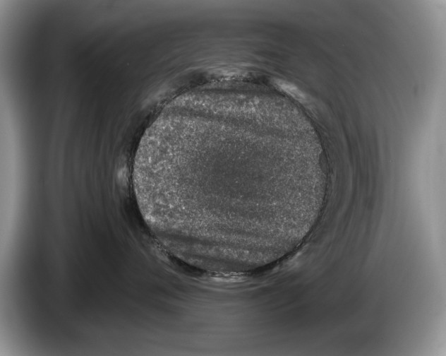 X0000086270720200704262016