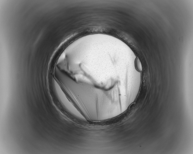 X0000086270722200704262016