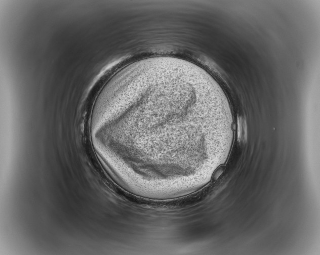 X0000086270723200704262016
