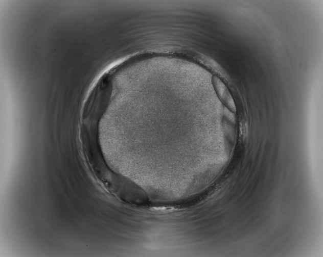 X0000086270724200704262016
