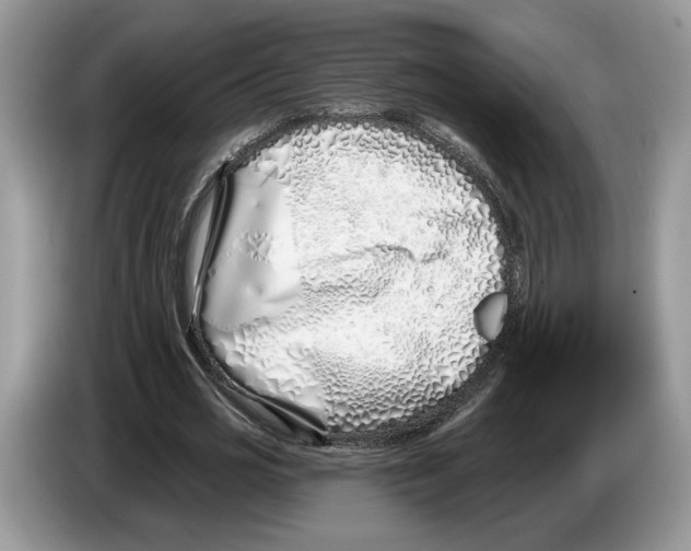 X0000086270725200704262016
