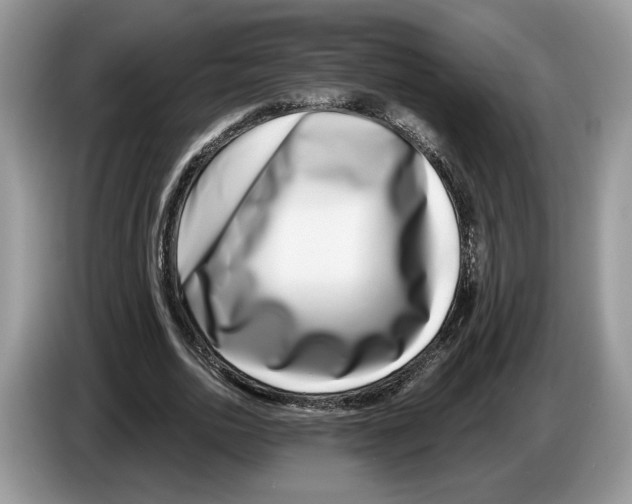 X0000086270726200704262016