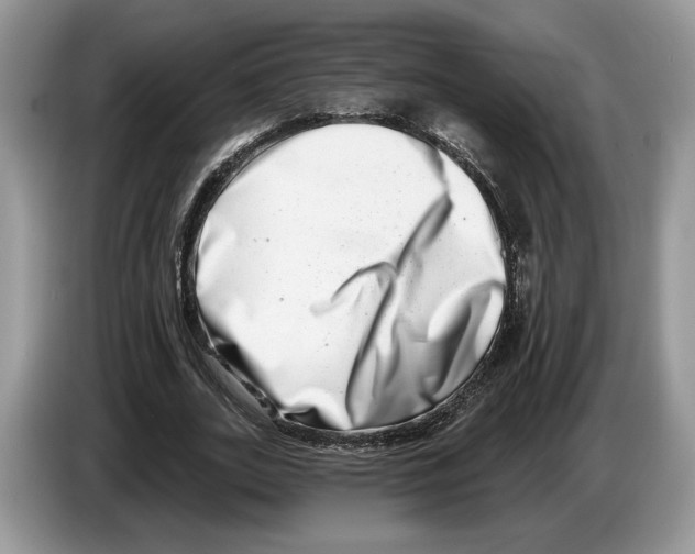 X0000086270727200704262016