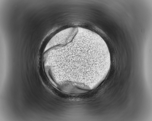 X0000086270730200704262016