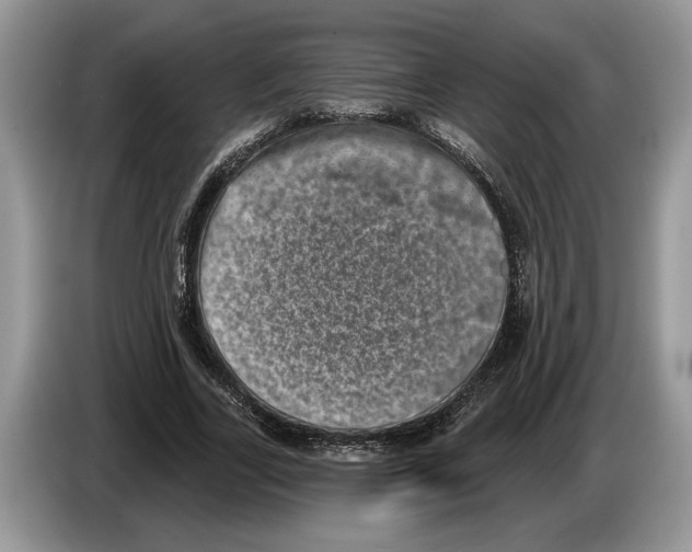 X0000086270731200704262016