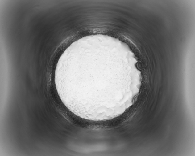 X0000086270733200704262016