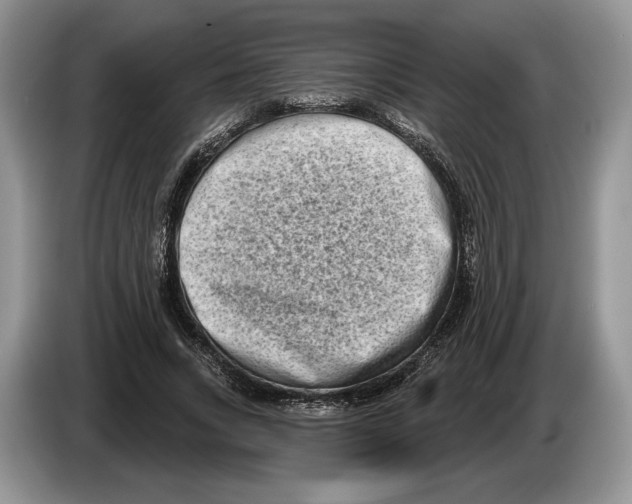X0000086270735200704262016