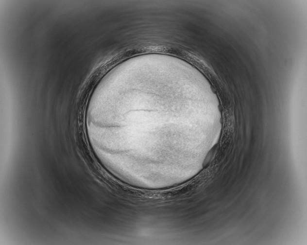 X0000086270736200704262016