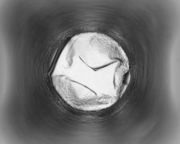 X0000086270737200704262016