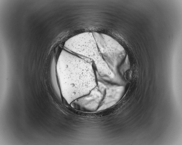 X0000086270738200704262016