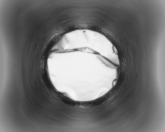 X0000086270739200704262016