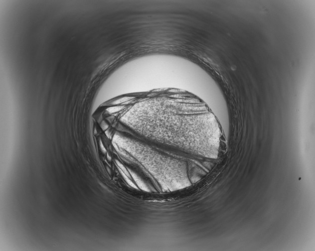 X0000086270740200704262016