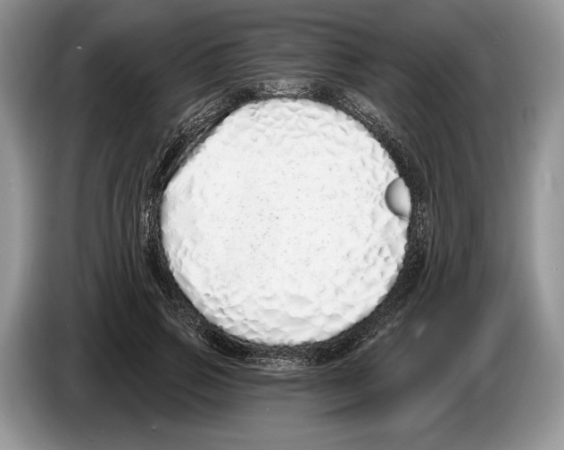 X0000086270741200704262016