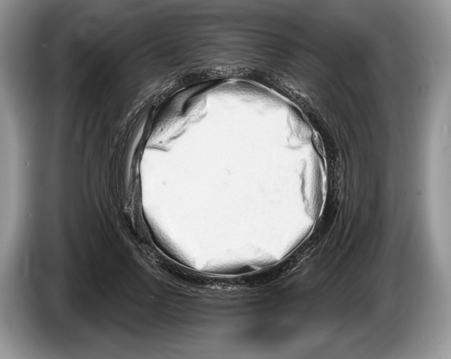 X0000086270742200704262016