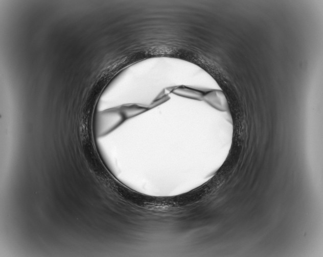 X0000086270743200704262016