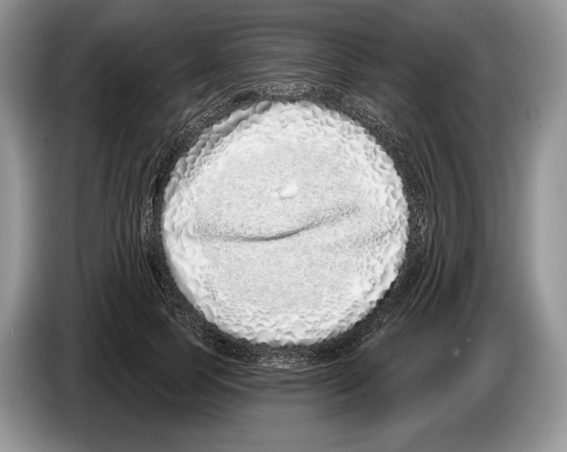 X0000086270745200704262016