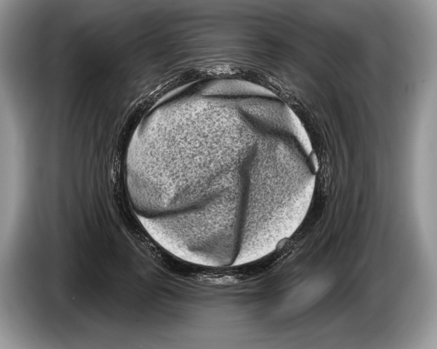 X0000086270747200704262016