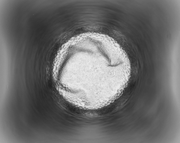 X0000086270749200704262016