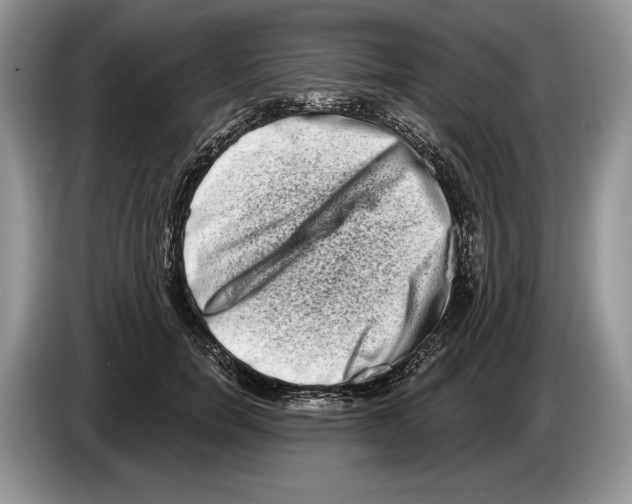 X0000086270750200704262016