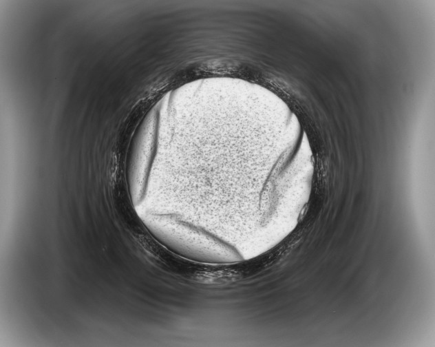 X0000086270752200704262016