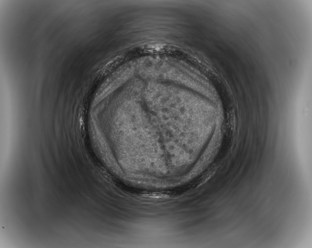 X0000086270754200704262016