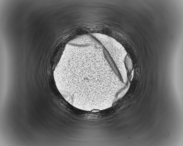X0000086270756200704262016