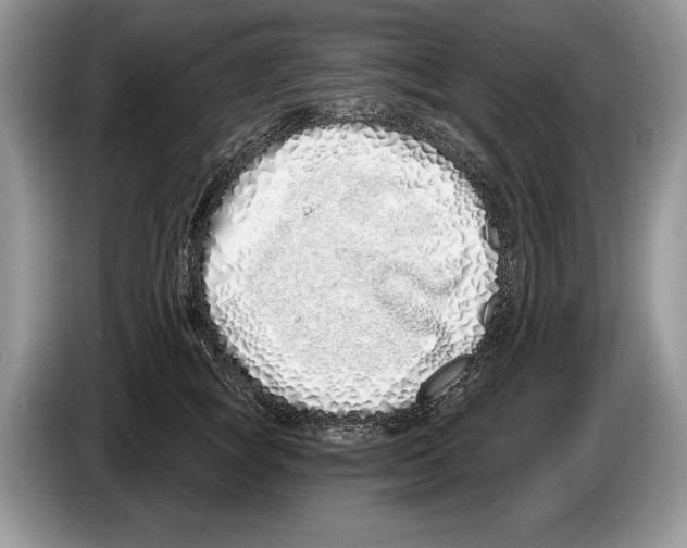 X0000086270757200704262016
