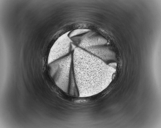 X0000086270759200704262016