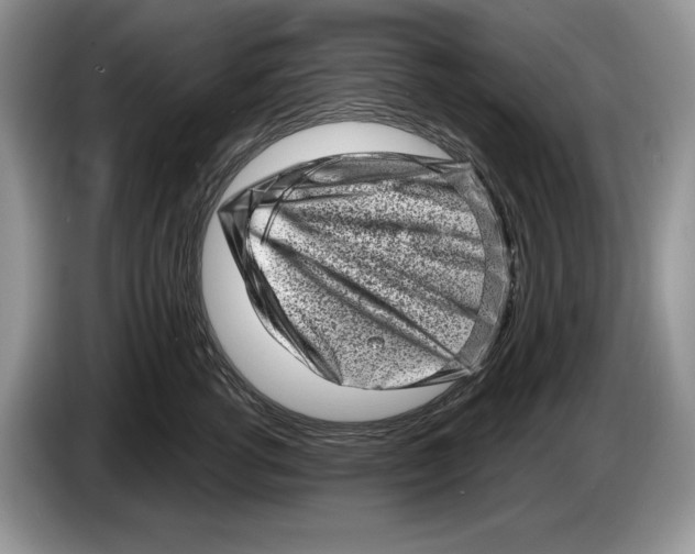 X0000086270762200704262016