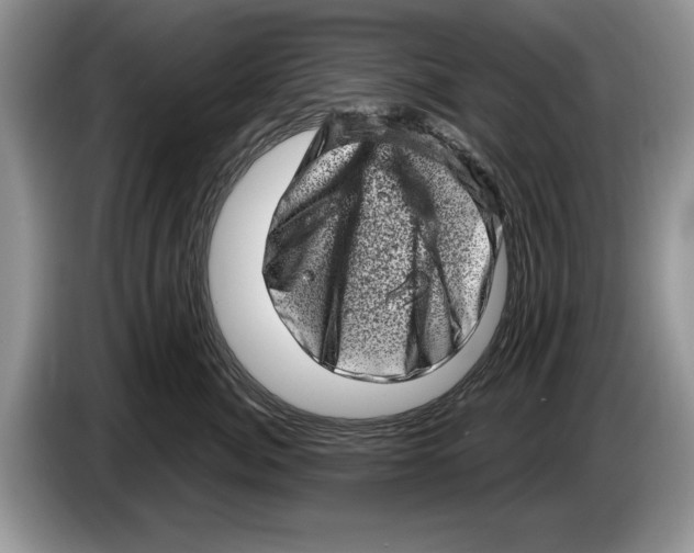 X0000086270764200704262016