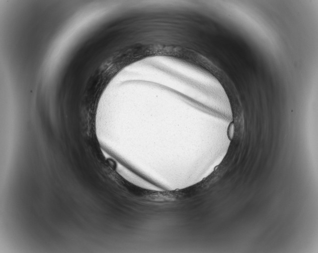 X0000086270765200704262016