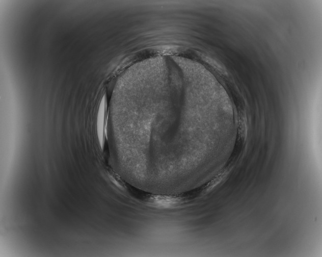 X0000086270766200704262016