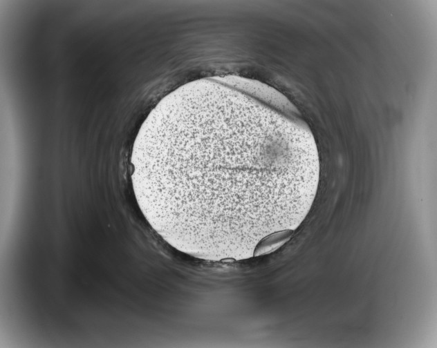 X0000086270768200704262016
