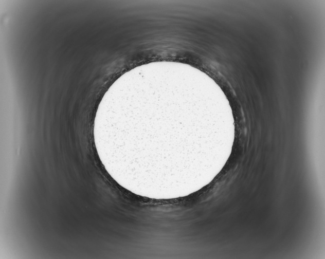 X0000086270769200704262015