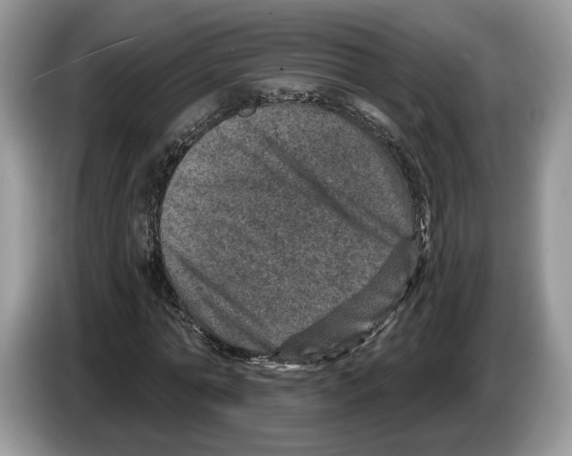 X0000086270774200704262015
