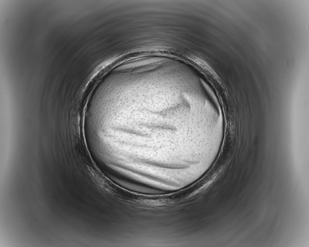 X0000086270781200704262015