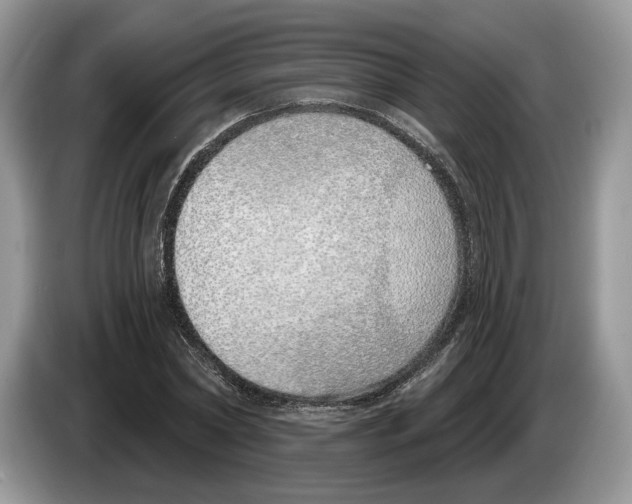 X0000086270782200704262015