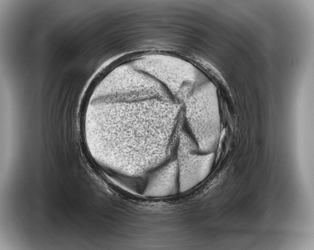 X0000086270784200704262015