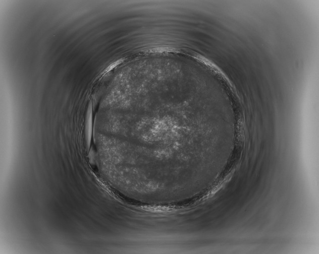 X0000086270785200704262015