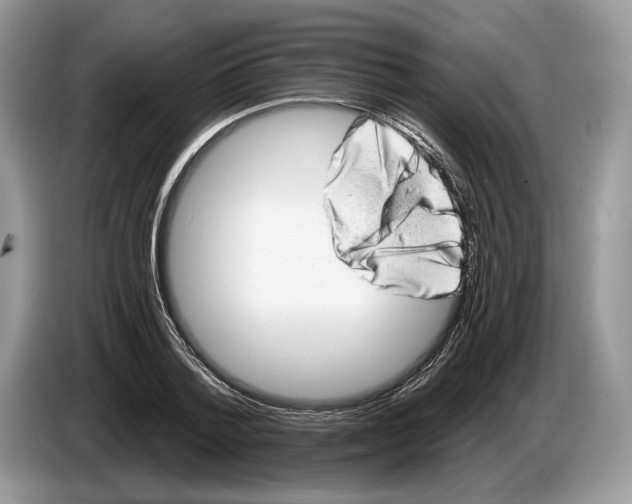 X0000086270788200704262015