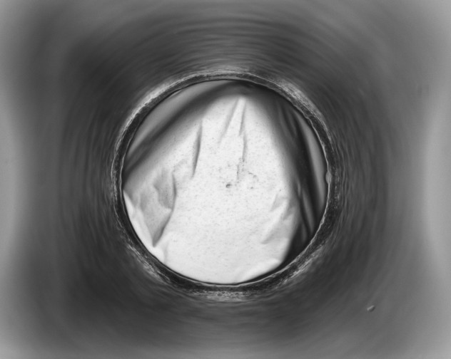X0000086270789200704262015