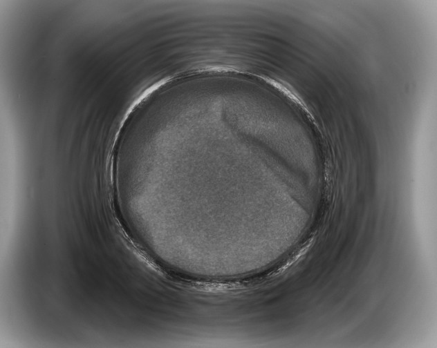 X0000086270790200704262015