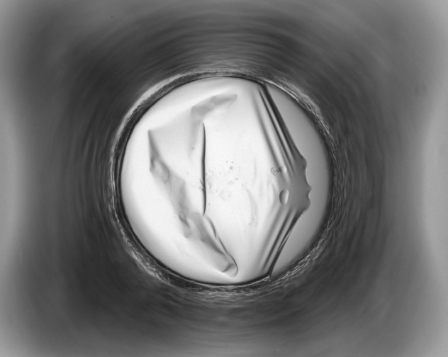 X0000086270792200704262015